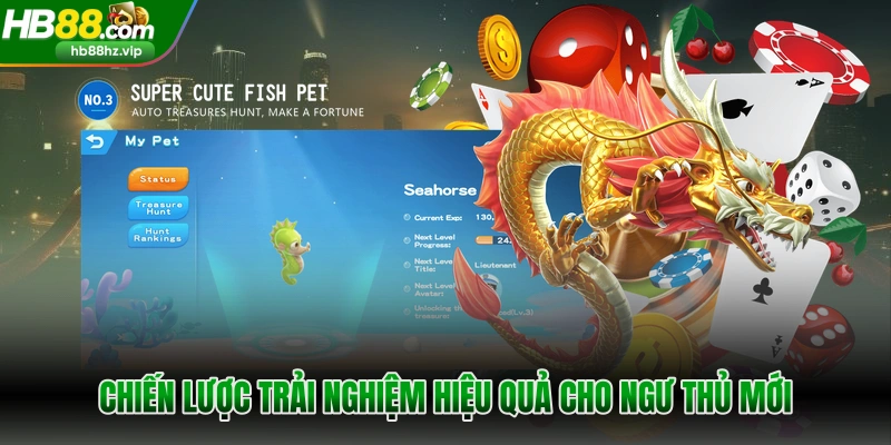 Chiến lược trải nghiệm hiệu quả cho ngư thủ mới 