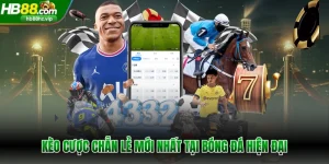 Kèo cược chẵn lẻ