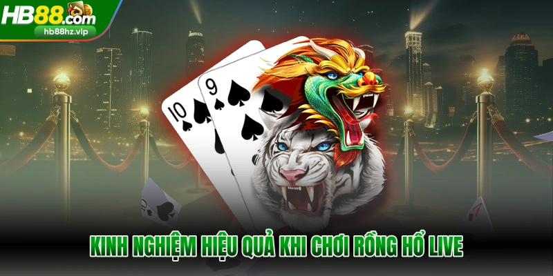 Kinh nghiệm hiệu quả khi chơi Rồng Hổ live